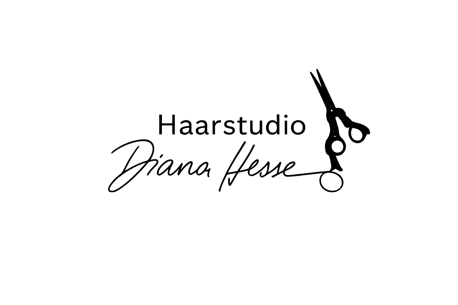 Logo Haarstudio Diana Hesse